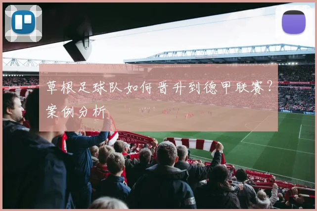 草根足球队如何晋升到德甲联赛？案例分析