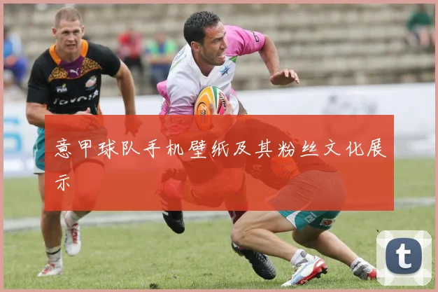 意甲球队手机壁纸及其粉丝文化展示