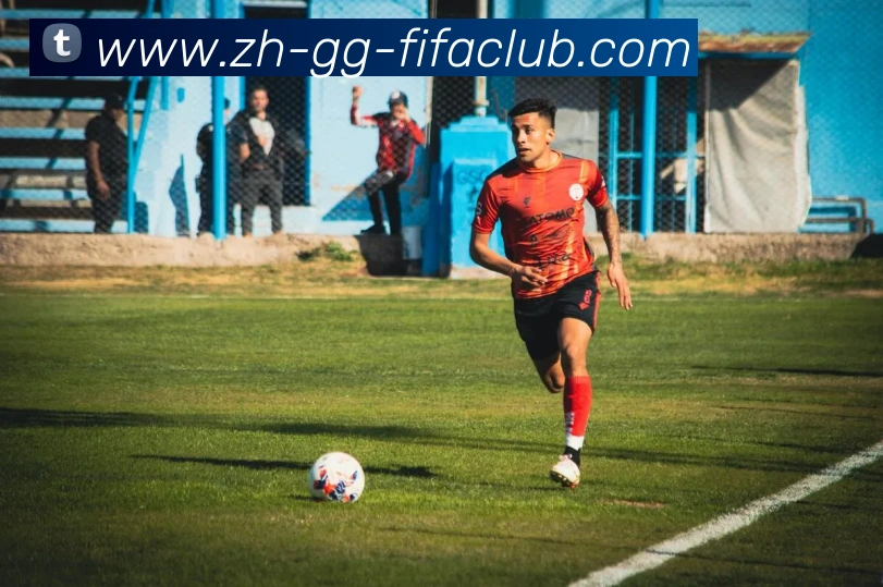 世界杯买球平台生态图